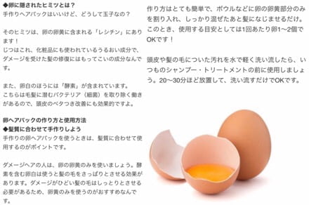 卵の記事