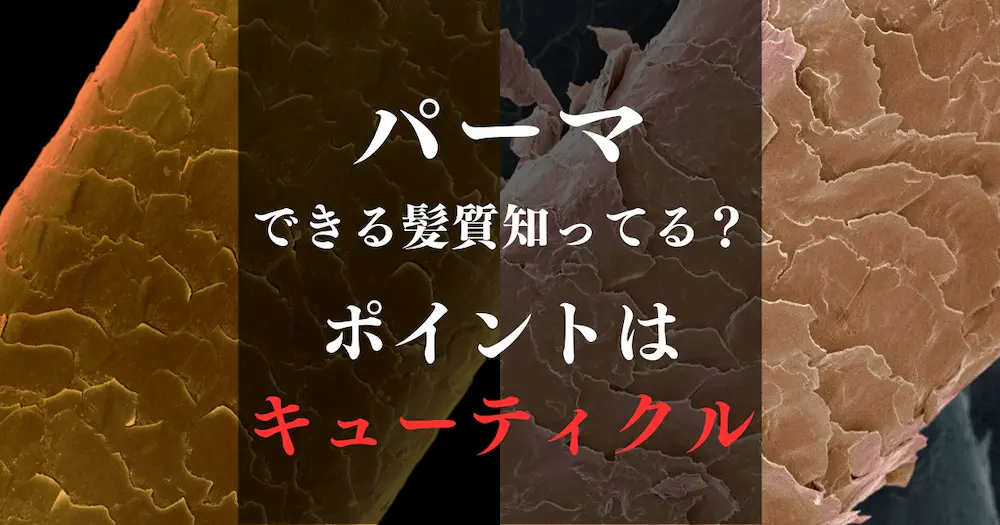 パーマはキューティクルにかかる？について